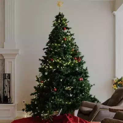 If you have a real Christmas tree, beware of this ‘clump’ that must be removed immediately