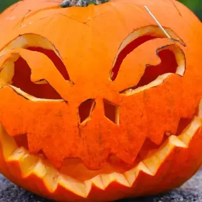 Never throw out Halloween pumpkin