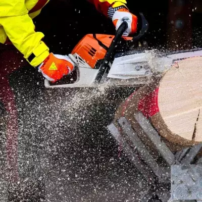 People horrified to learn what chainsaws were actually invented for 