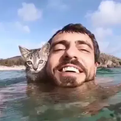 Adorable Cat Takes A Swim With His Owner