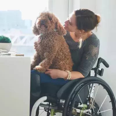 Assistance Dog Helped Its Owner Find The Man Of Her Dreams