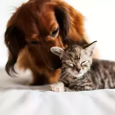 A beautiful friendship