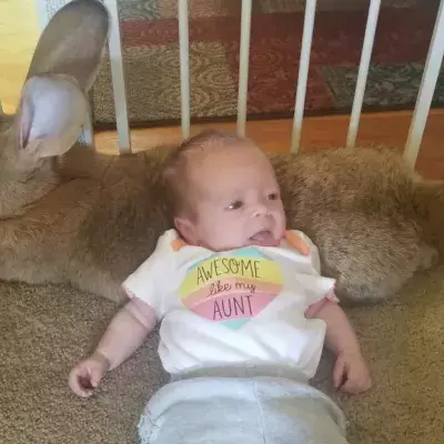 Bunnies And Babies