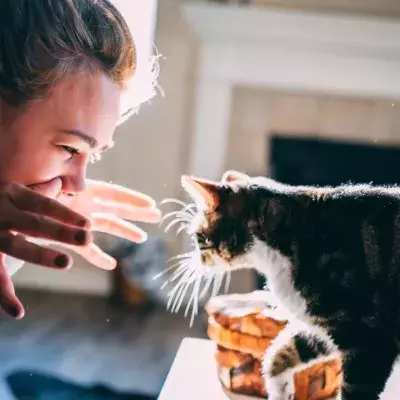 Cat and owner