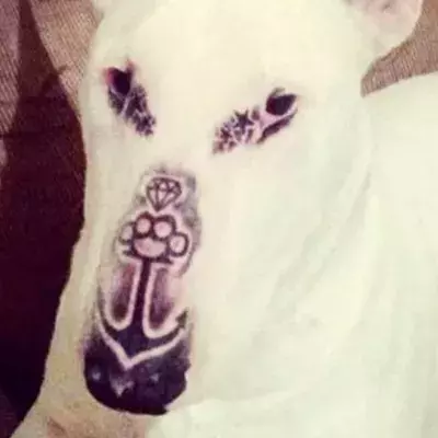 Default image