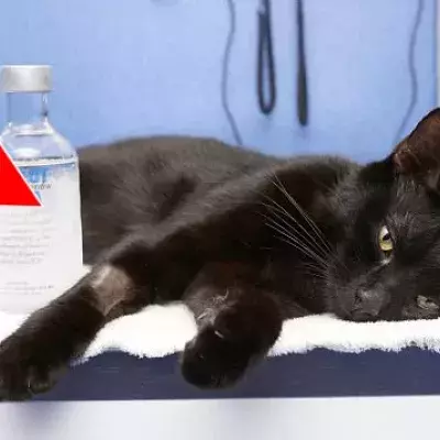 Default image