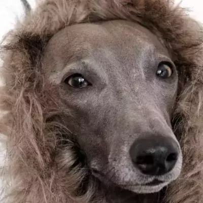 Default image