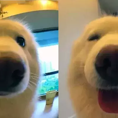 Default image