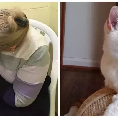 Default image