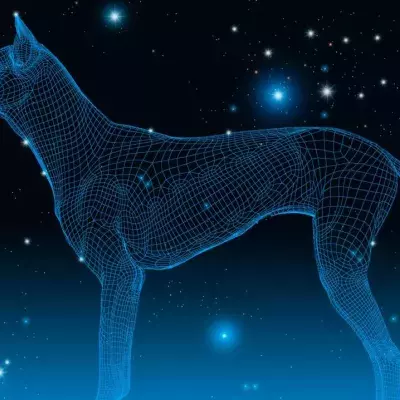 Dog Astrology: This is what your dog's zodiac sign tells about their personality