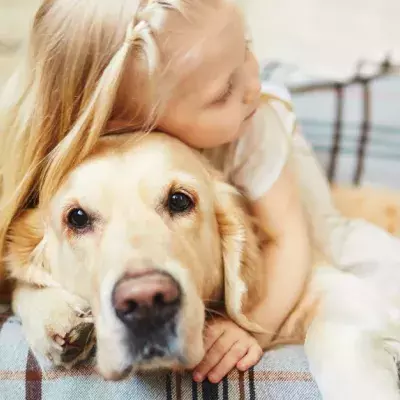 Dog Friendship