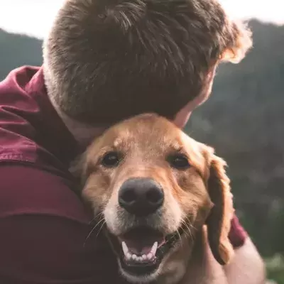 Dog 