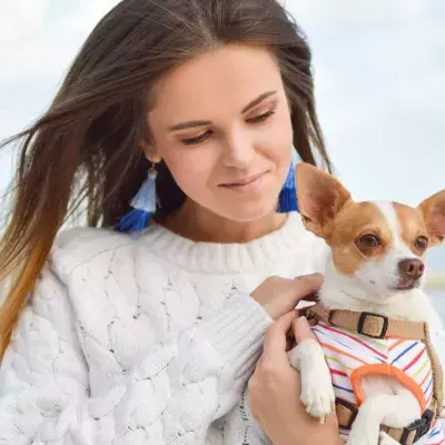 The heartbroken family’s relief as their stolen dog is found a year later