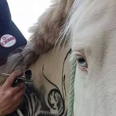 Horse Tattoo