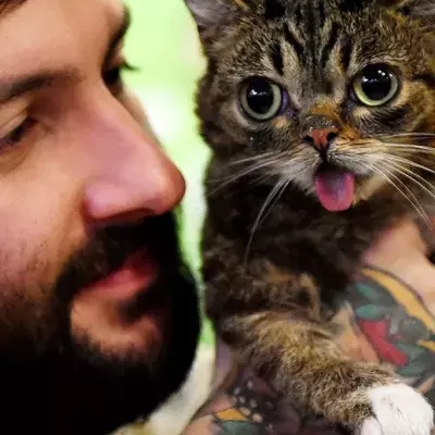Lil Bub
