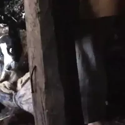 PETA