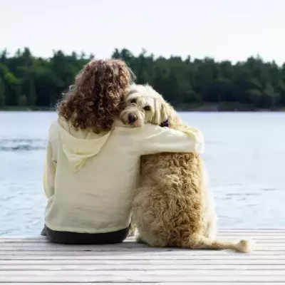 Pets