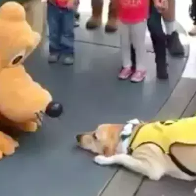 Pluto