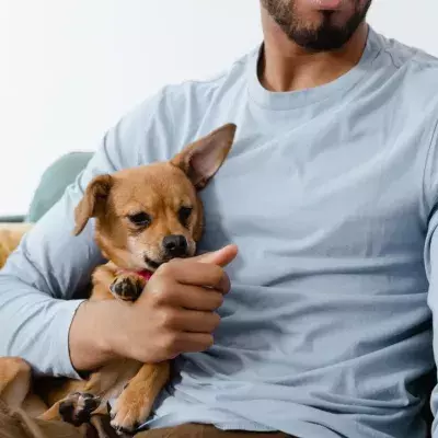 This rescue dog gives a heartbroken husband courage to carry on 