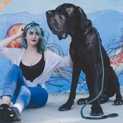 Rescue’s heartbreak as massive 60kg dog spends years at the shelter
