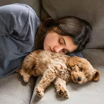 Should you be sleeping with your dog at night?
