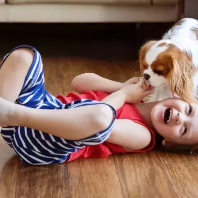 The Top 5 Family Friendly Dog Breeds