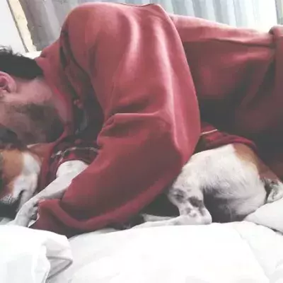 What You Need To Bear In Mind If You Let Your Pet Sleep In Your Bed At Night