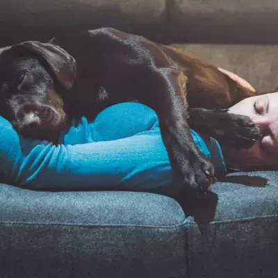 What You Should Do To Stop Your Dog Following You All Over The House