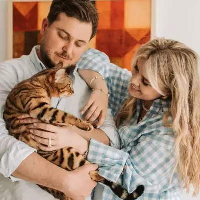 This is where your cat actually wants to be petted