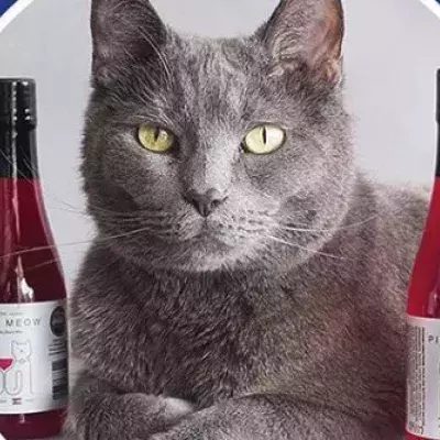 Wine