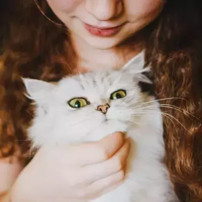 Woman reunited with her cat after 17 years because of microchipping