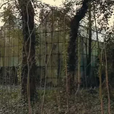 Zoo