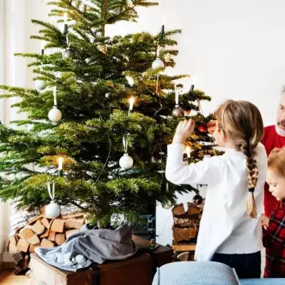 This is the right time to put up your Christmas tree, as per experts