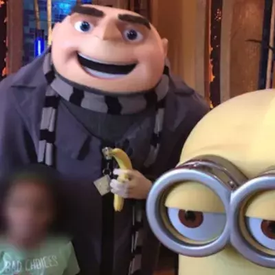 The Actor Wearing A Gru Costume Was Fired By Universal Studios Over This Photo