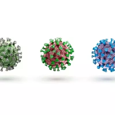 Covid-19: A new variant is straining health systems, here's everything we know