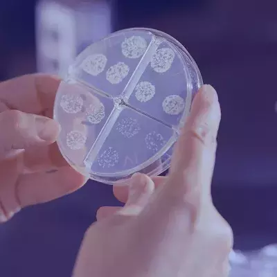 COVID: This disease from the past could be making a comeback amid the pandemic