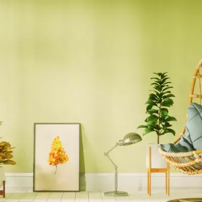 Egg Chair