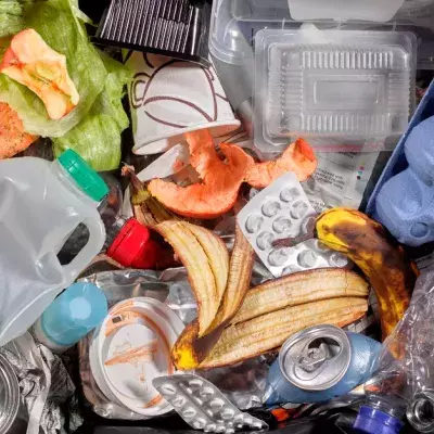 Here Is How To Get Rid Of Bad Smells From Your Rubbish Bin