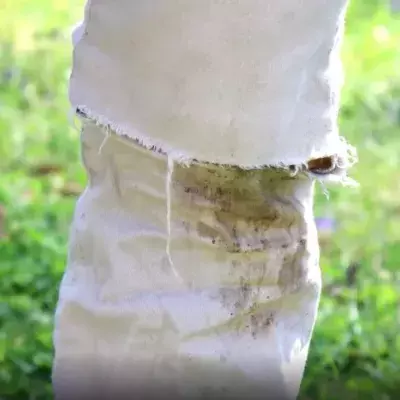 Here’s how to remove grass stains from clothing