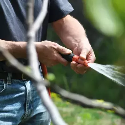 Hosepipe ban: Are you going to be affected?