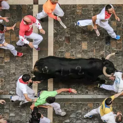 Killed by charging bulls: three men tossed, pierced, and trampled over by enraged animals