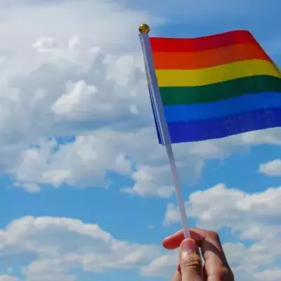New study links homophobia with low intelligence 