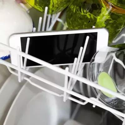 Phone in dishwasher