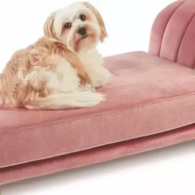 Shoppers have gone wild for Aldi's Bridgerton-style pet beds 
