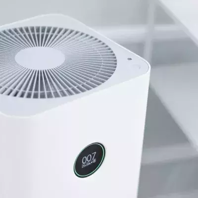 These scientific tips will help you survive the summer without air conditioning