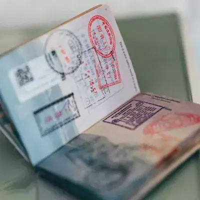 Travel Bans Now in Place As New Brazilian Strain Concerns Researchers