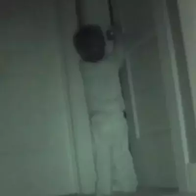 A very clever little thief
