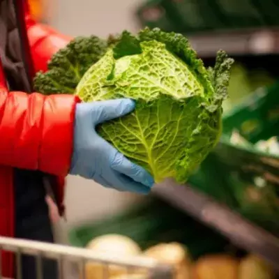 The WHO Explains Why Gloves Are Ineffective at Protecting Against COVID-19