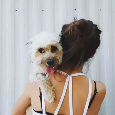 Dogs May Be Able To Sniff Out Breast Cancer