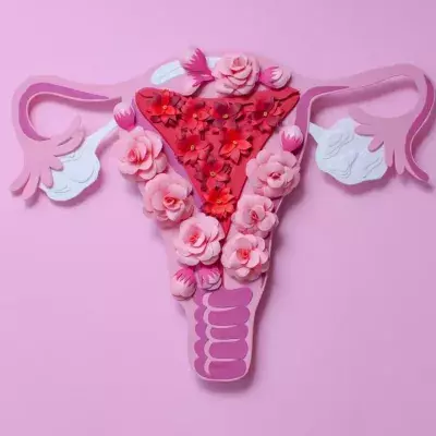 Everything You Need To Know About the Menstrual Cycle